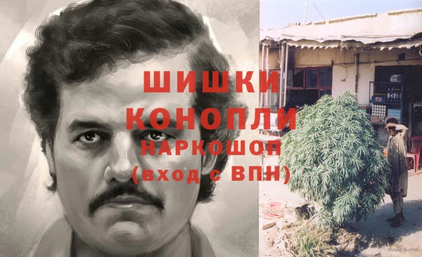 шишки Белоозёрский