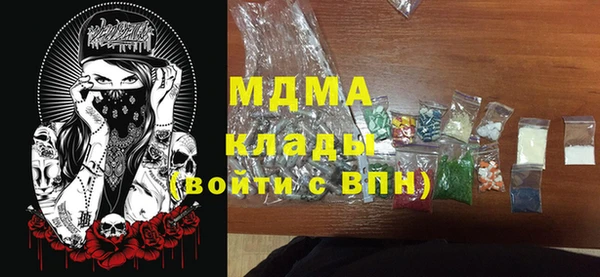 шишки Белоозёрский