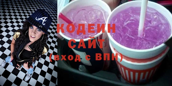 шишки Белоозёрский