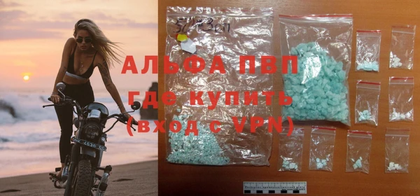 шишки Белоозёрский