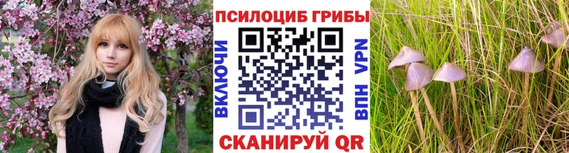 Псилоцибиновые грибы Cubensis  наркошоп  Весьегонск 